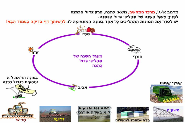 למרכז המחשב משימת סידור והתאמת תהליכי הגידול לעונתם